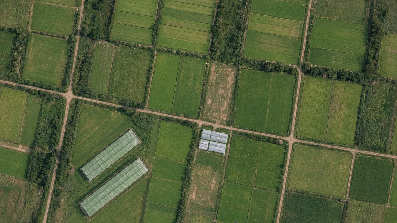 Mapa de lotes agrícolas con distinta condición